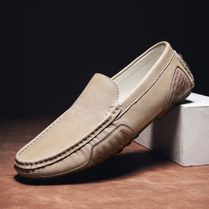 https://cdn.shopify.com/s/files/1/0679/5745/7155/files/O1CN018egjQj26vBYBe8IvH__3083127723-0-cib.jpg?v=1710087929