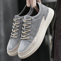 Gris