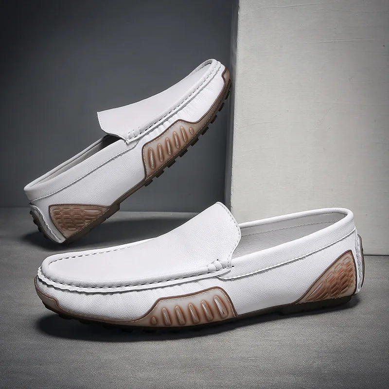 https://cdn.shopify.com/s/files/1/0679/5745/7155/files/S0b1c2a640c0c4d45b7f6d43e74e6f84e4.webp?v=1710087752