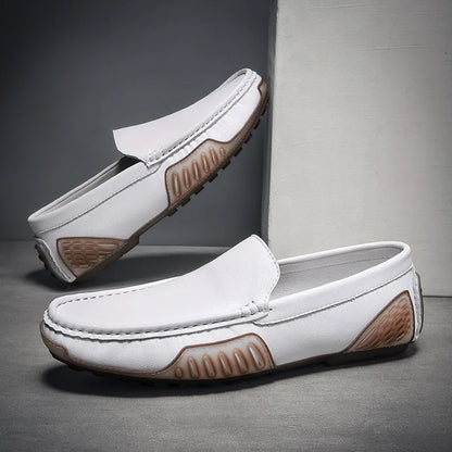 https://cdn.shopify.com/s/files/1/0679/5745/7155/files/S0b1c2a640c0c4d45b7f6d43e74e6f84e4.webp?v=1710087752
