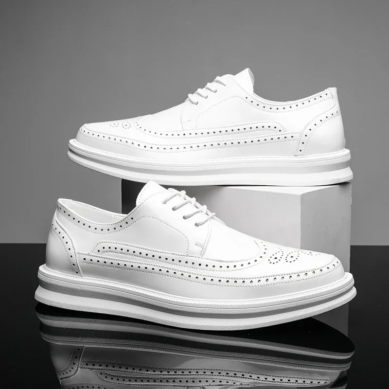 https://cdn.shopify.com/s/files/1/0679/5745/7155/files/S55bab9766a124c8ba58fd0d94aeb839d3.webp?v=1726486356