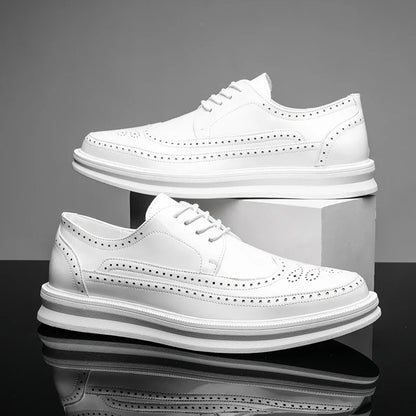 https://cdn.shopify.com/s/files/1/0679/5745/7155/files/S55bab9766a124c8ba58fd0d94aeb839d3.webp?v=1726486356