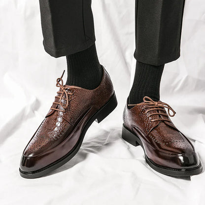 https://cdn.shopify.com/s/files/1/0679/5745/7155/files/Sedbc5f5bd1e248e1ac6d7e8d75d9450dp.webp?v=1717358009