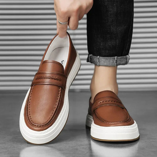 https://cdn.shopify.com/s/files/1/0679/5745/7155/files/Sf8cc496531dd4e2eafa51e17bce9d7ebd.webp?v=1740043503