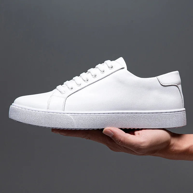 https://cdn.shopify.com/s/files/1/0679/5745/7155/files/a0d6d5fe-897f-4a0d-bcb3-5b6f8ff22122.jpg?v=1722197409