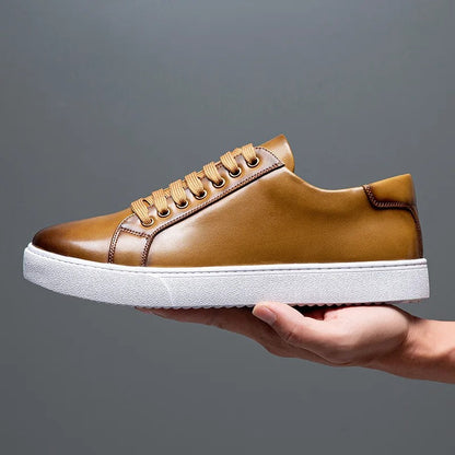 https://cdn.shopify.com/s/files/1/0679/5745/7155/files/e3a57a4e-0573-4c4a-86d4-e0322b42e30d.jpg?v=1722197408